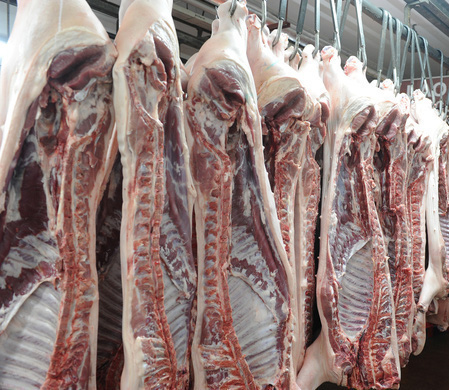 Kinh nghiệm bảo quản heo mảnh tươi đúng cách để giữ chất lượng thịt lâu hơn