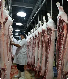 Heo mảnh đặc biệt