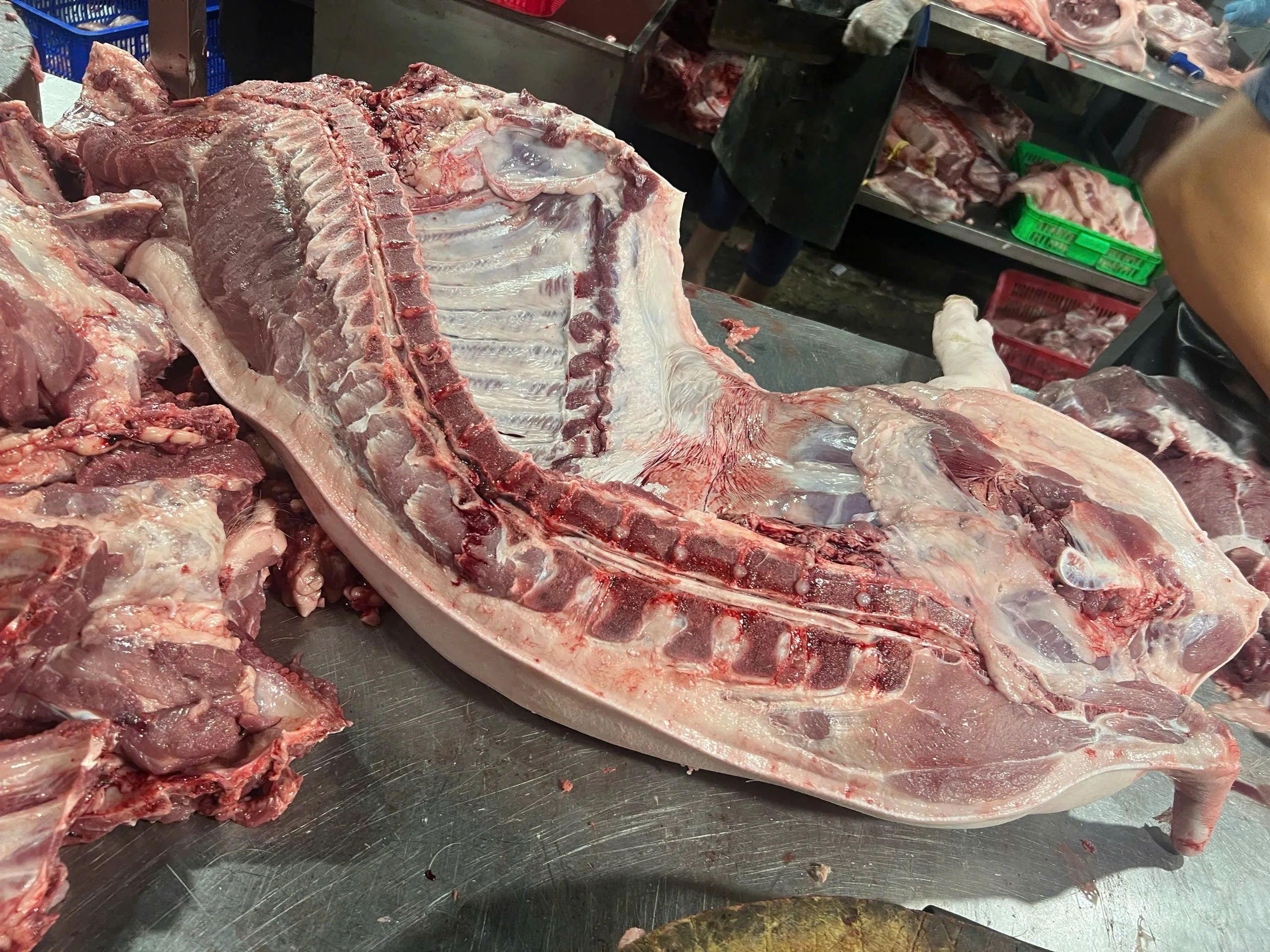 Hình ảnh liên hệ